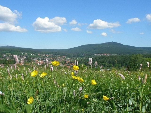 Harzpension Haus Koenigskopf Braunlage Buitenkant foto