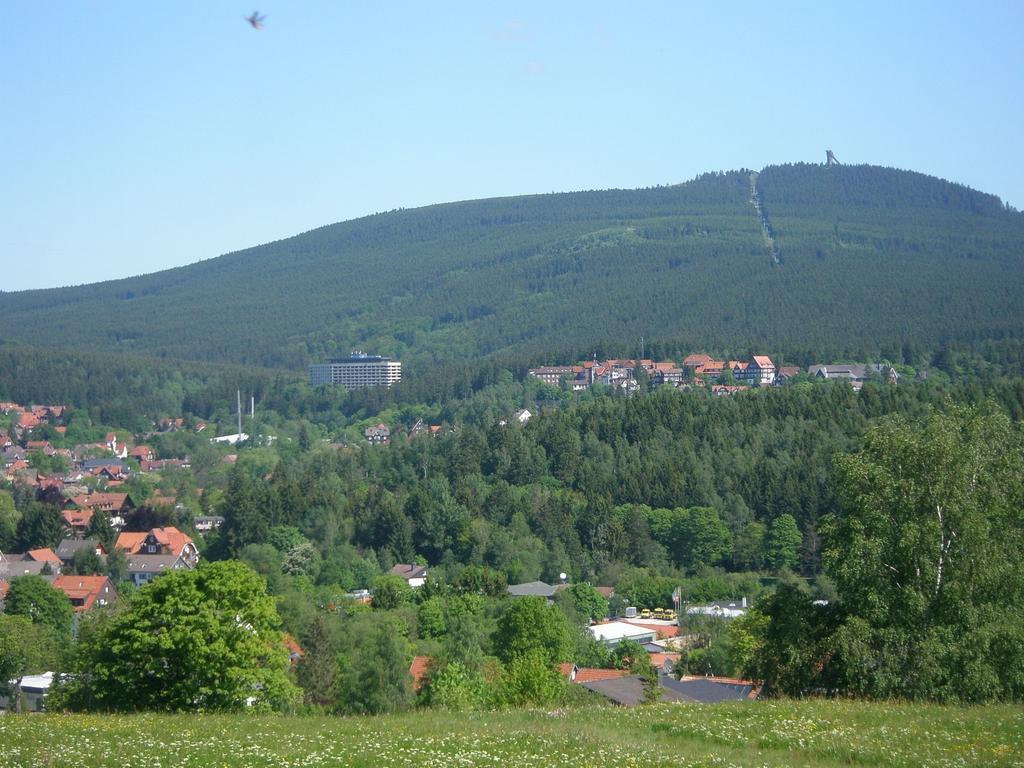 Harzpension Haus Koenigskopf Braunlage Buitenkant foto